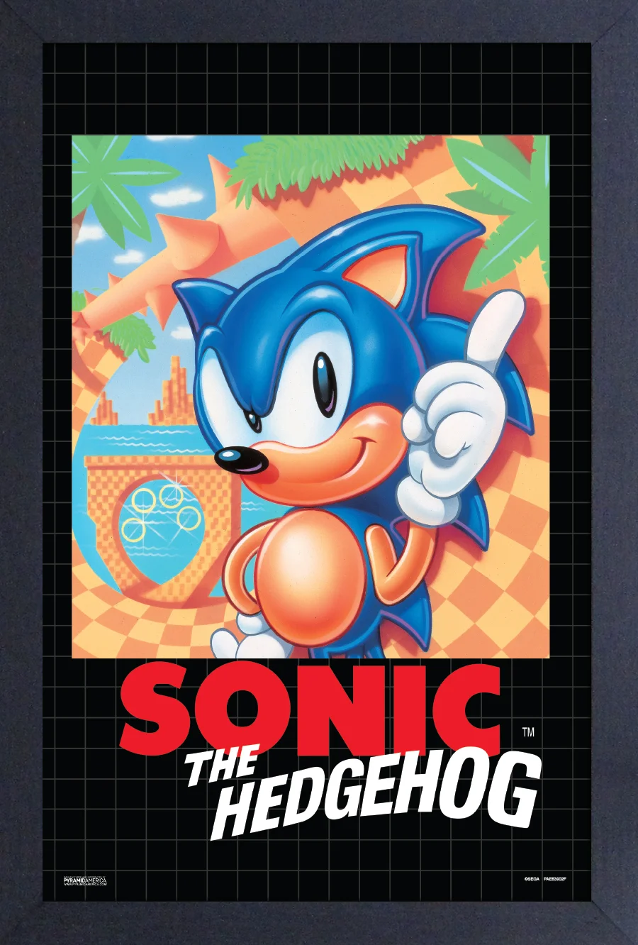 Sonic the Hedgehog Cover - Gel Coat