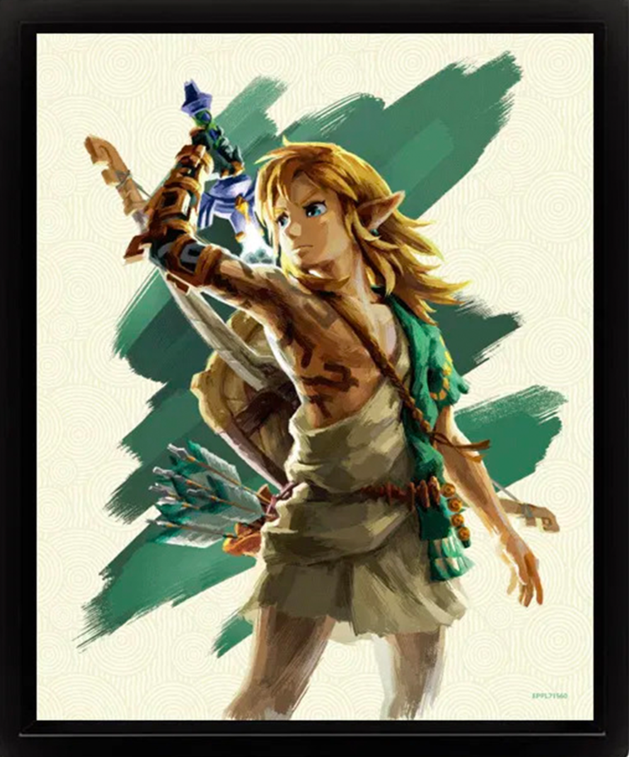 Zelda - Tears of the Kingdom - Link Unleashed - Lenticular Shadow Box